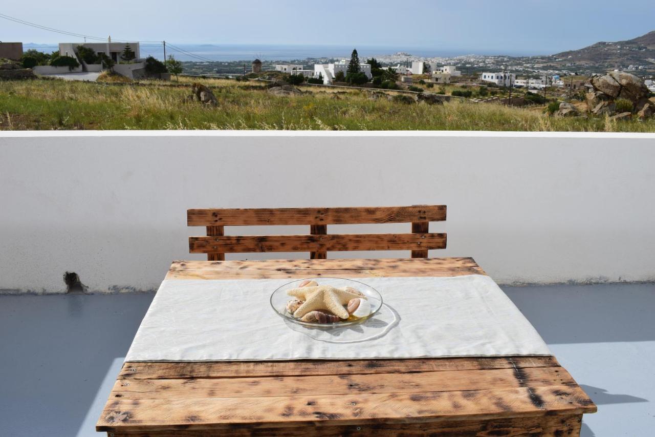 Appartement Ktima Panagia à Glinado Naxos Extérieur photo