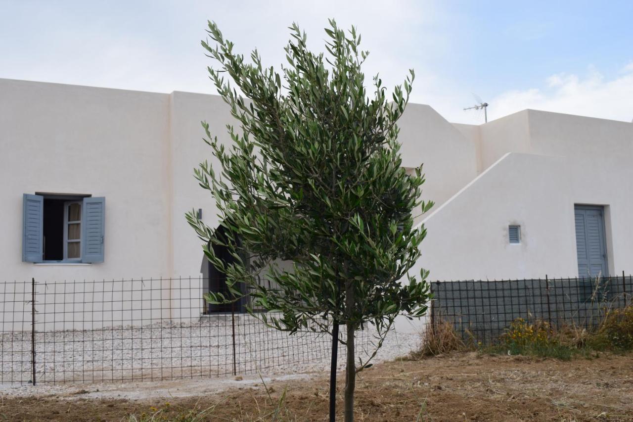 Appartement Ktima Panagia à Glinado Naxos Extérieur photo